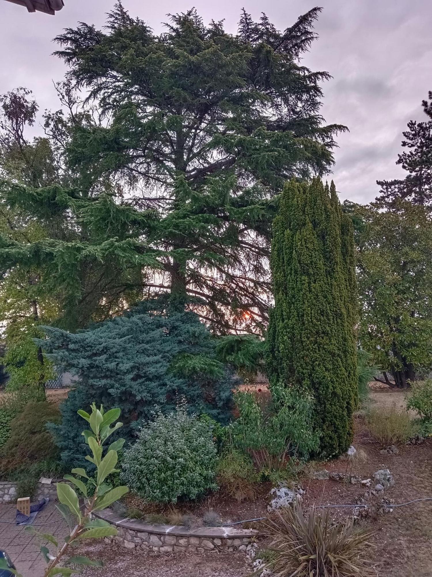 La Maison Basque Sainte-Livrade-sur-Lot Exteriör bild